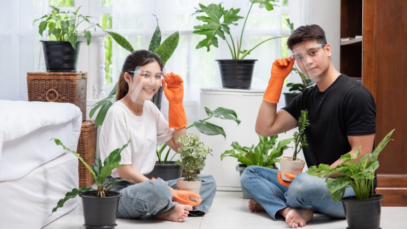 Vertical Planters