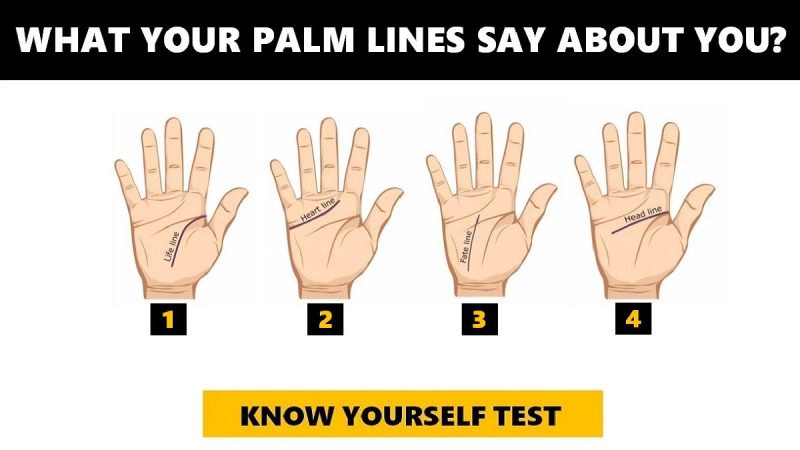 short life line palm