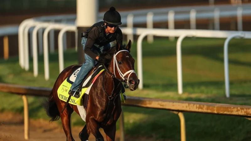 Kentucky Derby 2024 horses