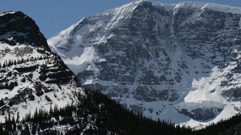 colorado avalanche