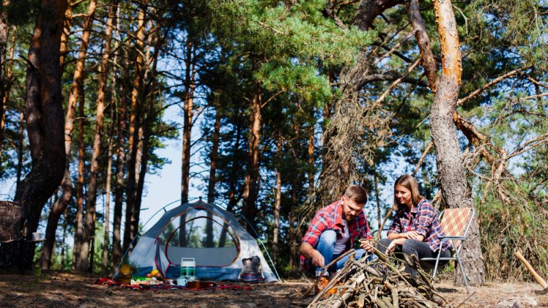 Dalby Forest Camping