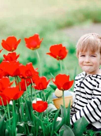 Dutch Boy Names