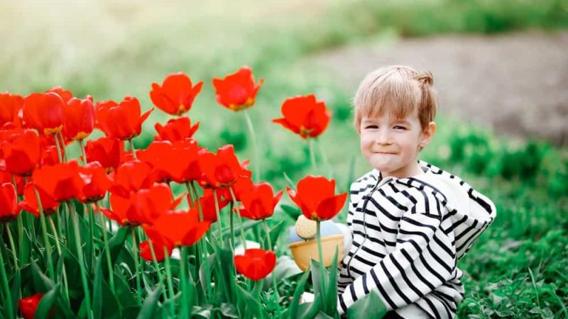 Dutch Boy Names