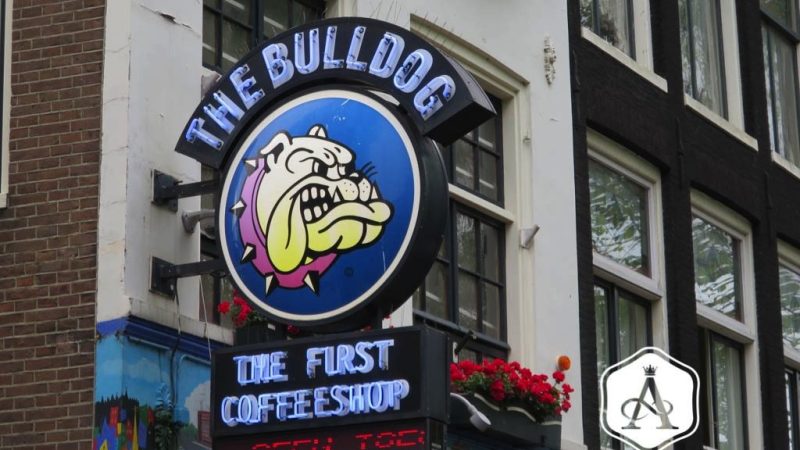 The Bulldog The First Coffee Shop