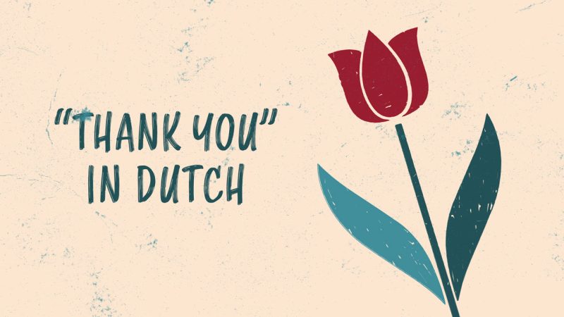 thank you in holland