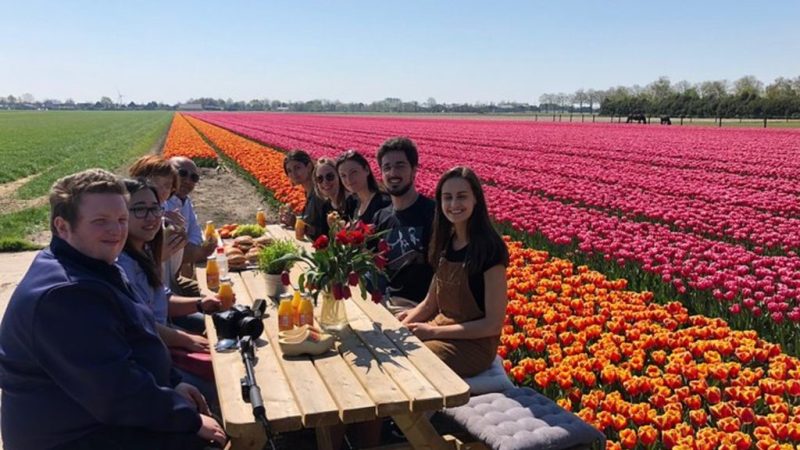 Netherlands Tulip Tours