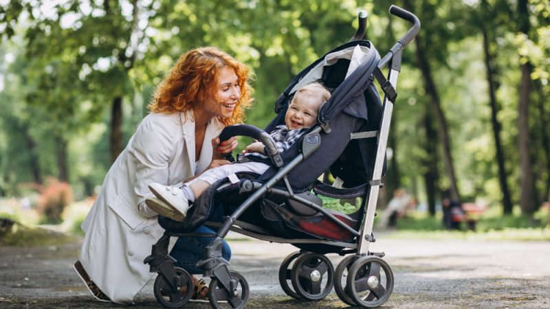 Mountain Buggy Travel Pram