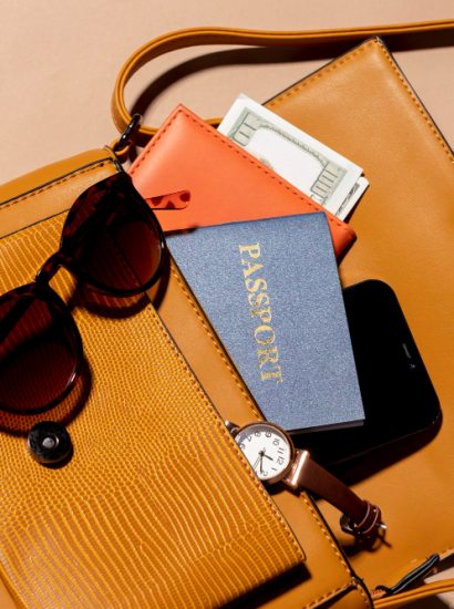 Passport and Travel Wallet