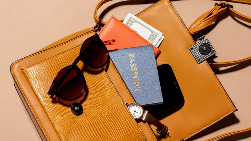 Passport and Travel Wallet