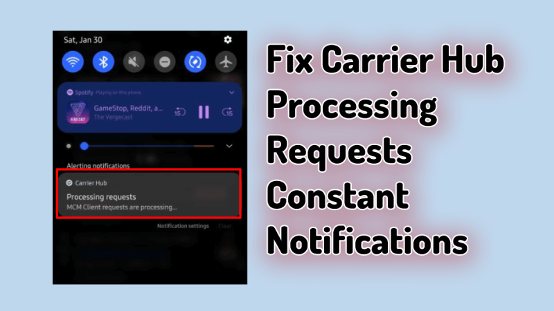 Carrier Hub Processing Requests