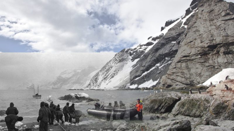 Elephant Island Antarctica