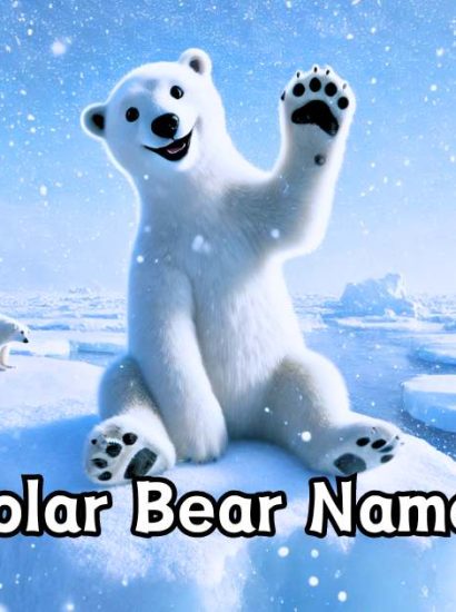 Name a Polar Bear