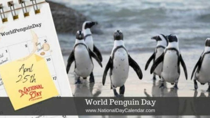 World Penguin Day