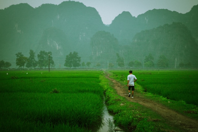 Ninh Binh