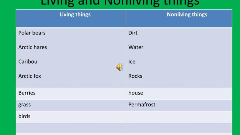 What Are Non-Living Things That Are in the Arctic