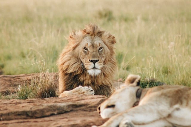 Delta Okavango Botswana