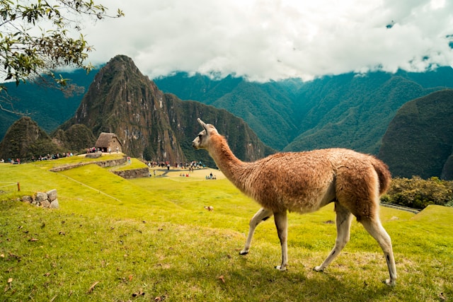 Peru Urubamba