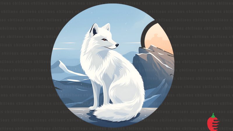 Artic Fox Graphic