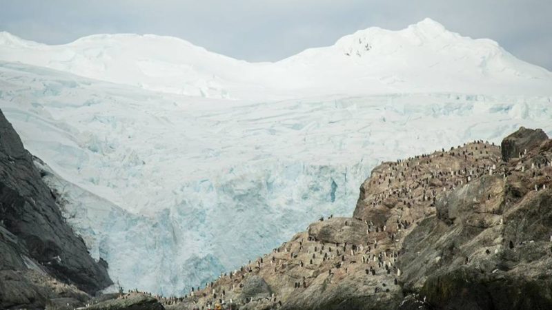 Elephant Island Antarctica