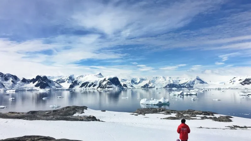 How Much Does It Cost to Go to Antarctica