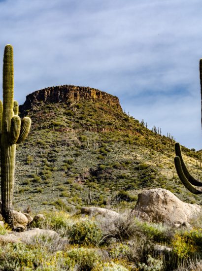 California Baja Mexico