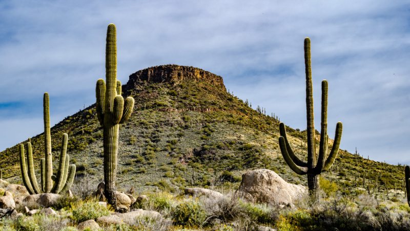 California Baja Mexico
