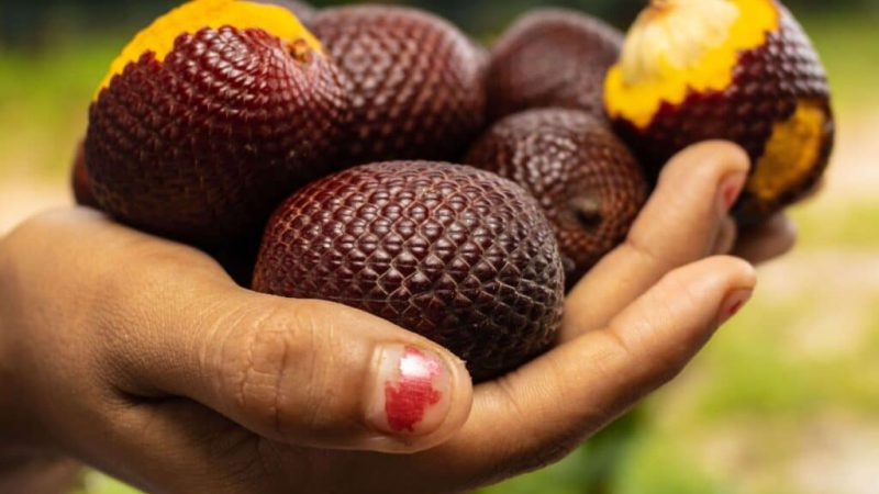 Latin Fruit