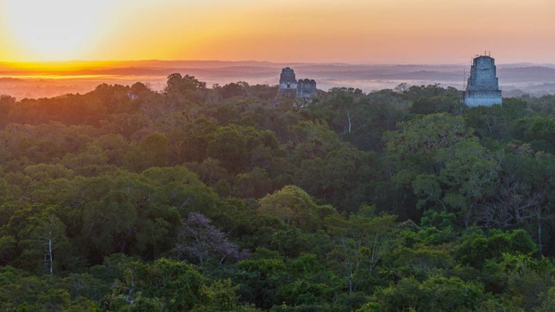 Tikal Sunrise Tour