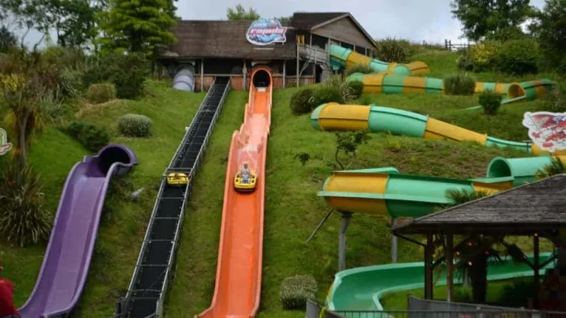 Things to Do in South Devon