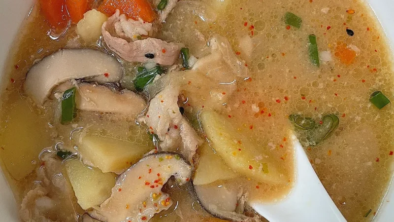Tokyo Chicken Stew