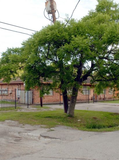 217 Lavender Street