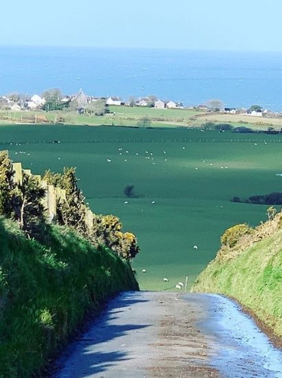 Llŷn Area of Outstanding Natural Beauty