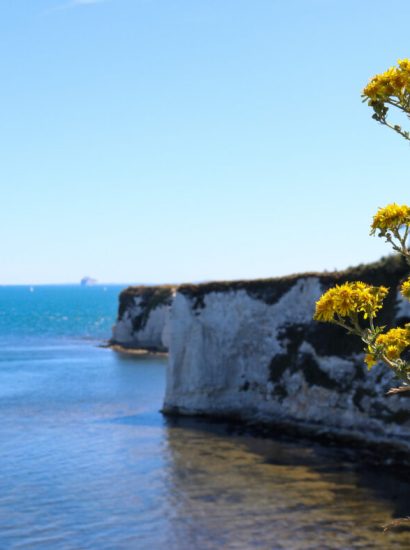 Whats On This Weekend in Dorset