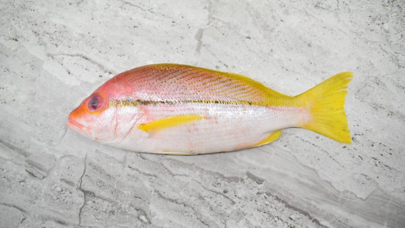 Kee Fish