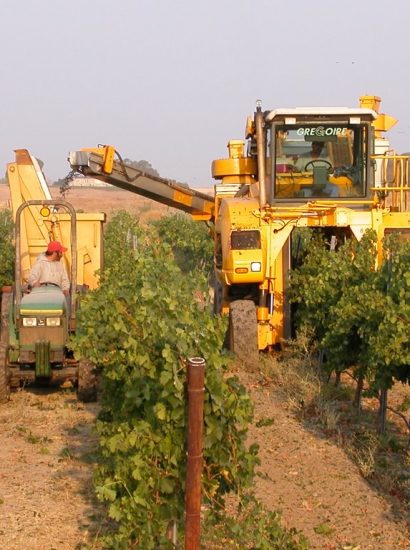 Harvester Wine