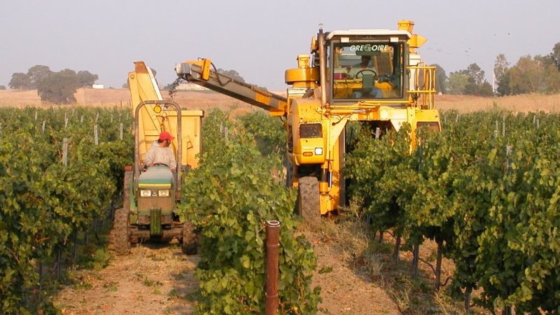 Harvester Wine