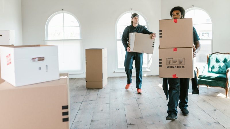 Movers in Georgia