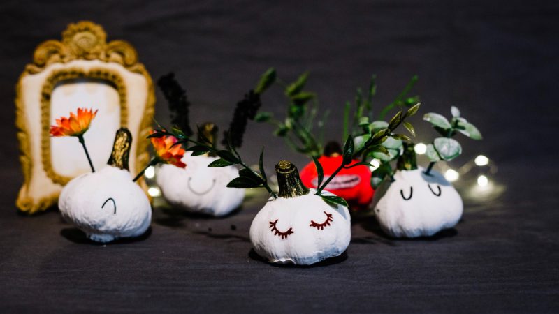 Snow White Coffin