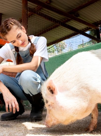 Will Pigs Eat Anything