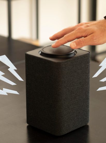 What Is the Sceptre Monitor Speaker Name