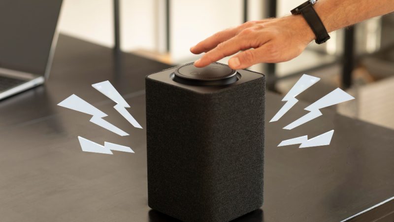 What Is the Sceptre Monitor Speaker Name