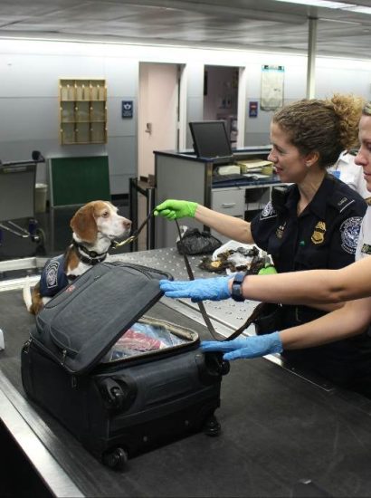 Does TSA Check for Warrants