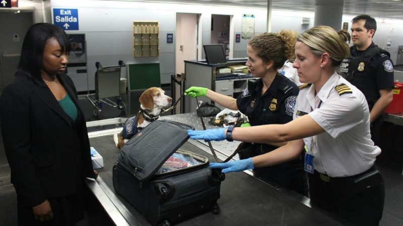 Does TSA Check for Warrants